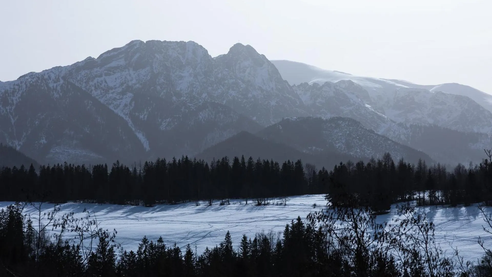 Apartamenty Bachledzki Wierch Zakopane